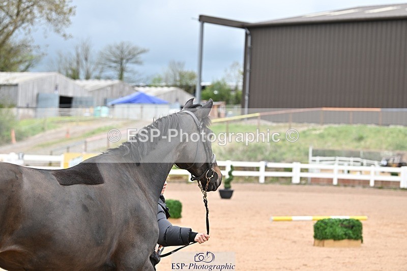 250423-122632-00273 - 12 to 1pm