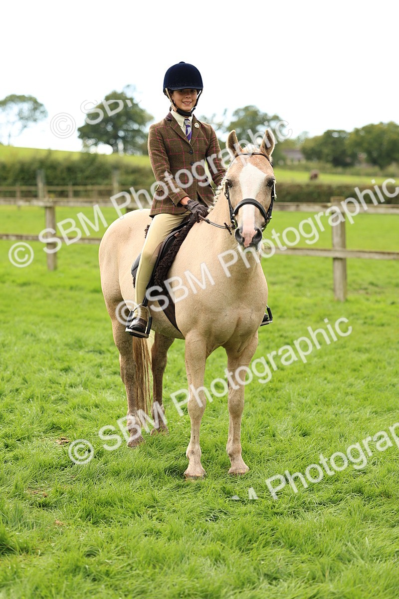 SBM_45368 - S33 - Working Hunter Pony