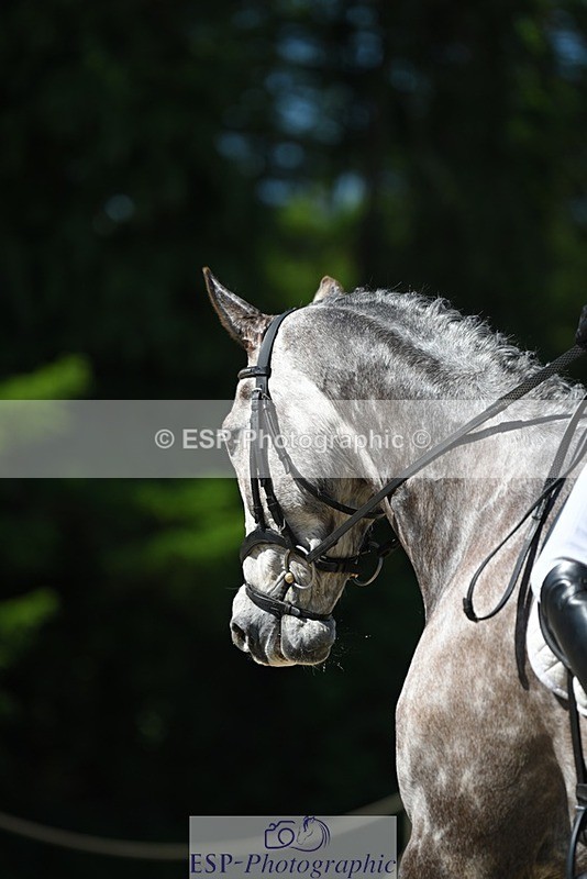 230526-102756-05617 - 461-SAUNDERSCOURT_AMBASSADOR-Adam_Trew-DR