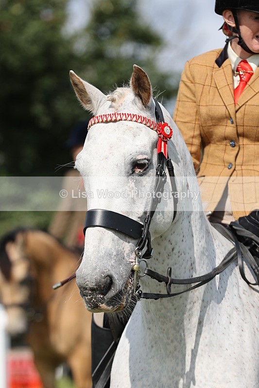 JPP_0898 - Class 16: Cornish Combination Young Rider