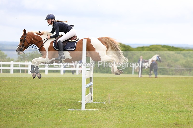 3E7A6708 - Class 10: Pony Newcomers/1m open