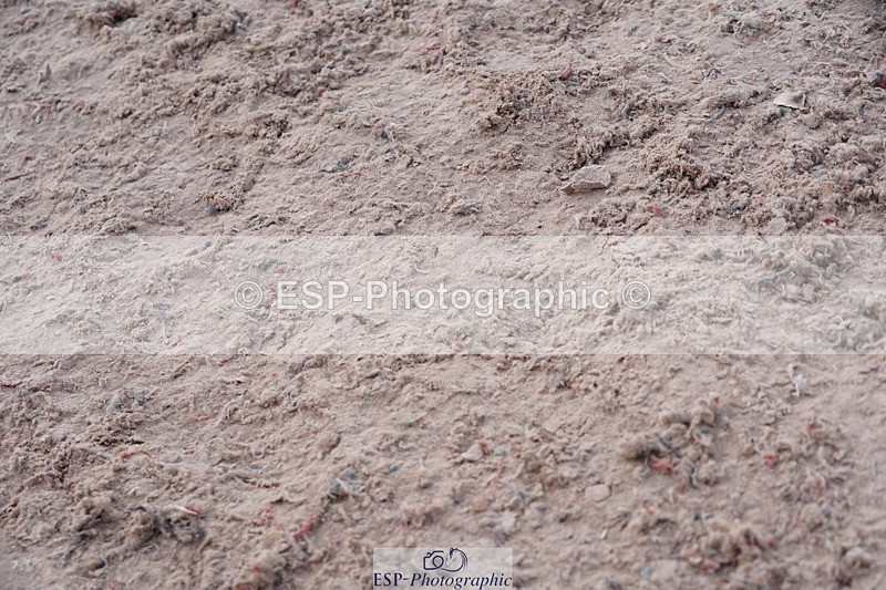 250525-102428-09106 - Cls 32 A&B Snr Brit Nov & 90cm Open