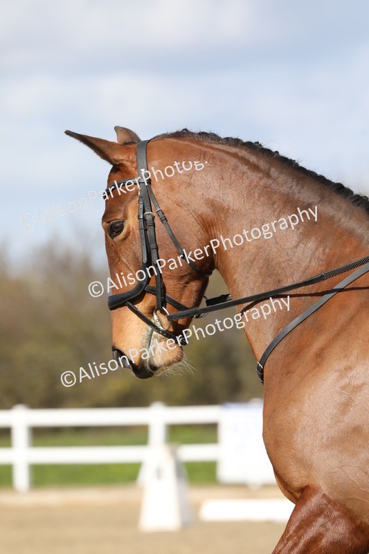 20260314-4651 - CT3 - Prelim 2