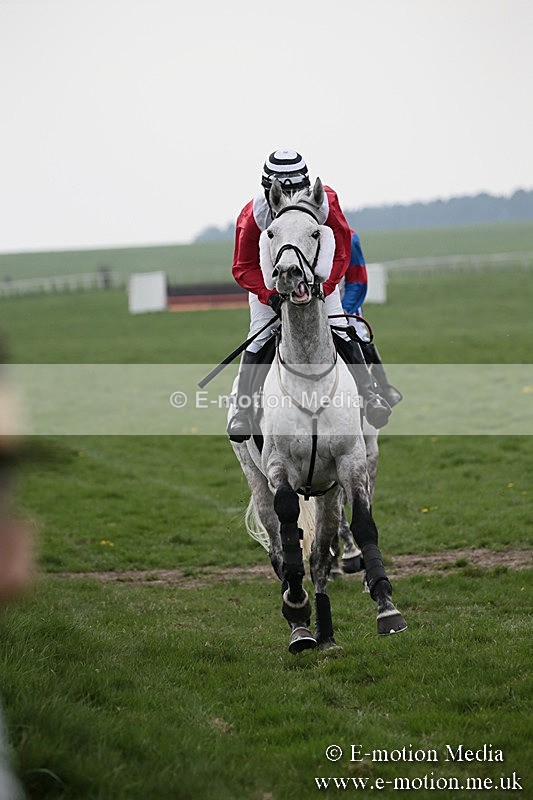 PtP 210418 233 - South & West Wilts Point-to-Point Larkhill 21/04/18