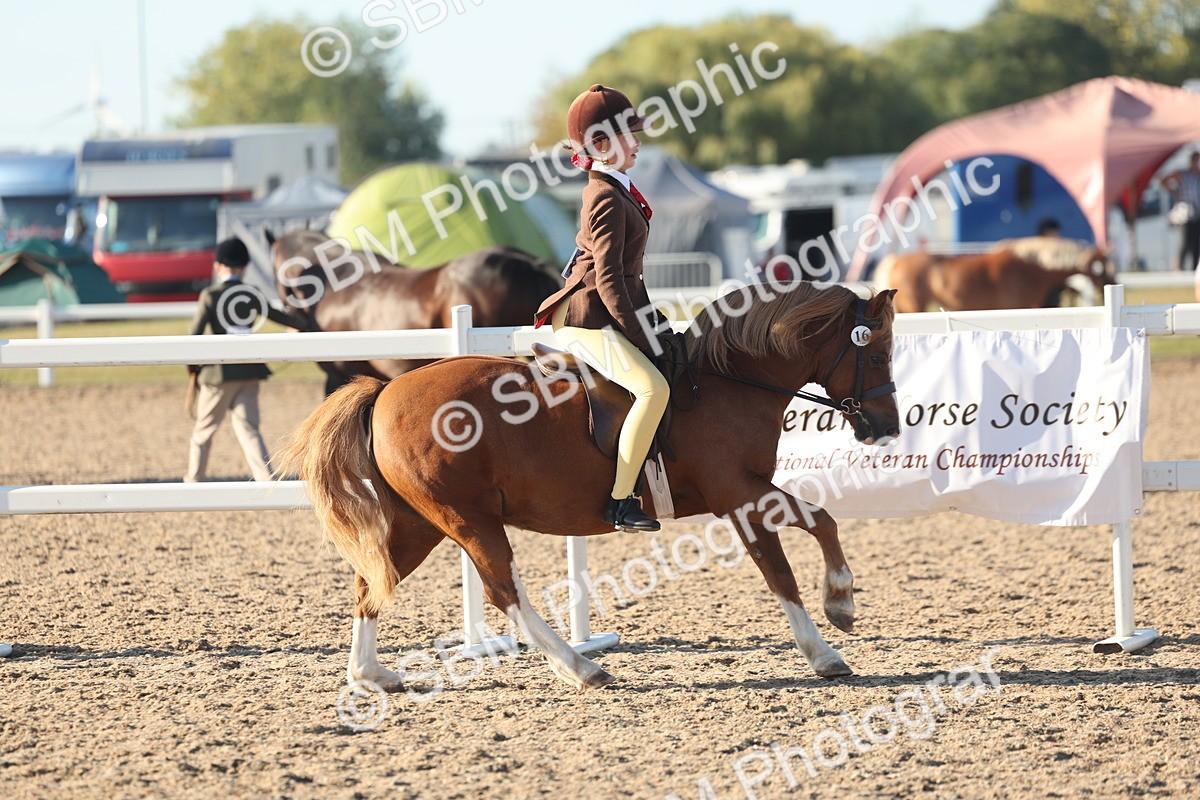 SBM_10902 - Class 301 - Ridden M&M Small Breeds