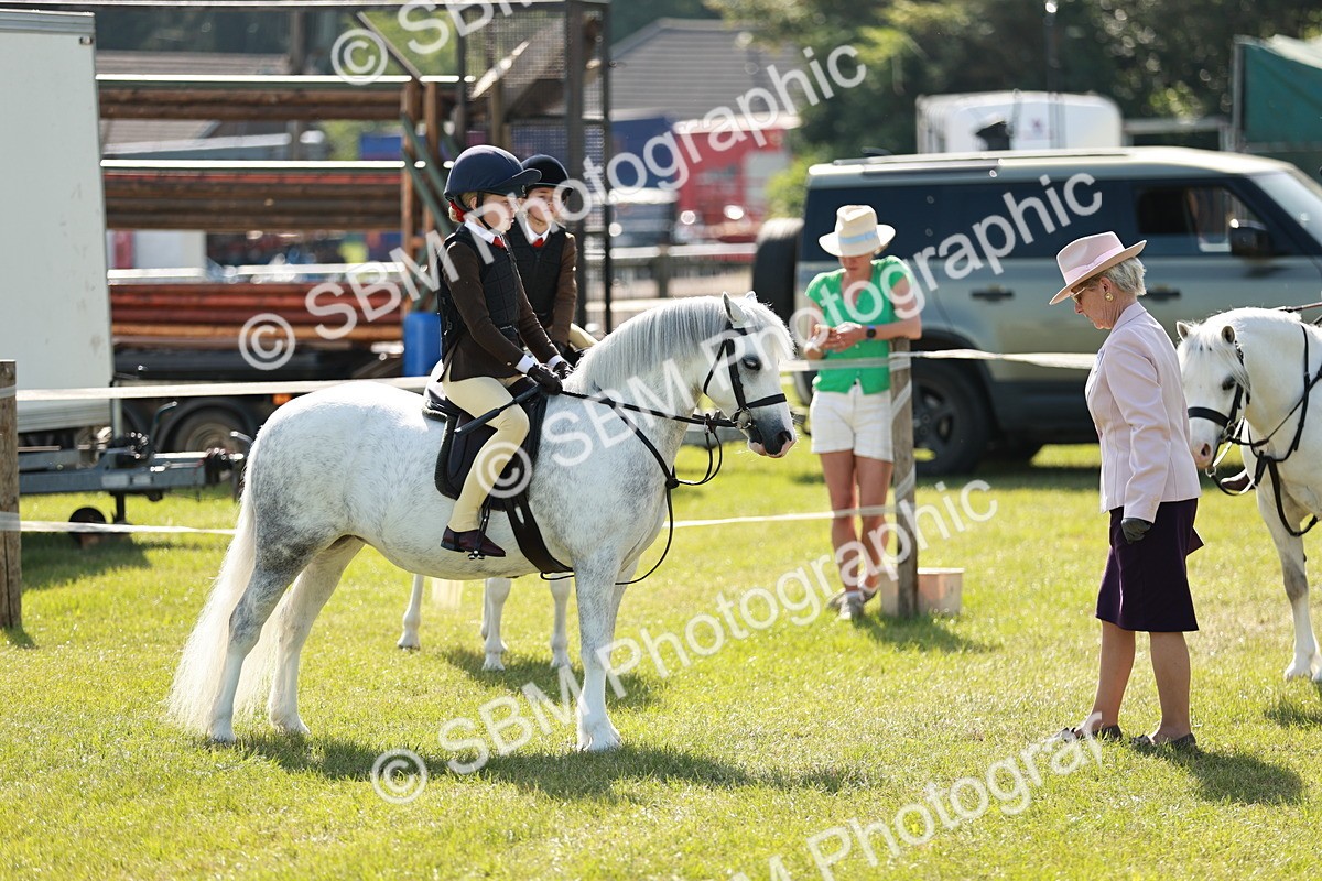 SBM_12674 - Class 106-107 - BSPS LIHS Working Sports Pony