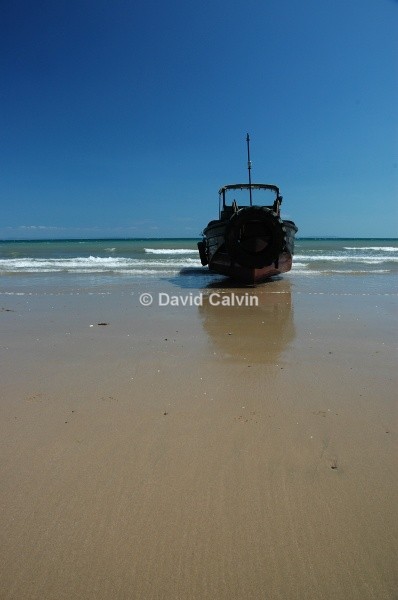 Beached - Coast