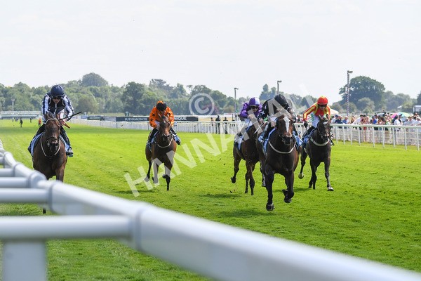 160623-Race 3-Radio Goo Goo-0396 - Race 3 3.00pm British EBF Supporting Racing With Pride Fillies' Handicap