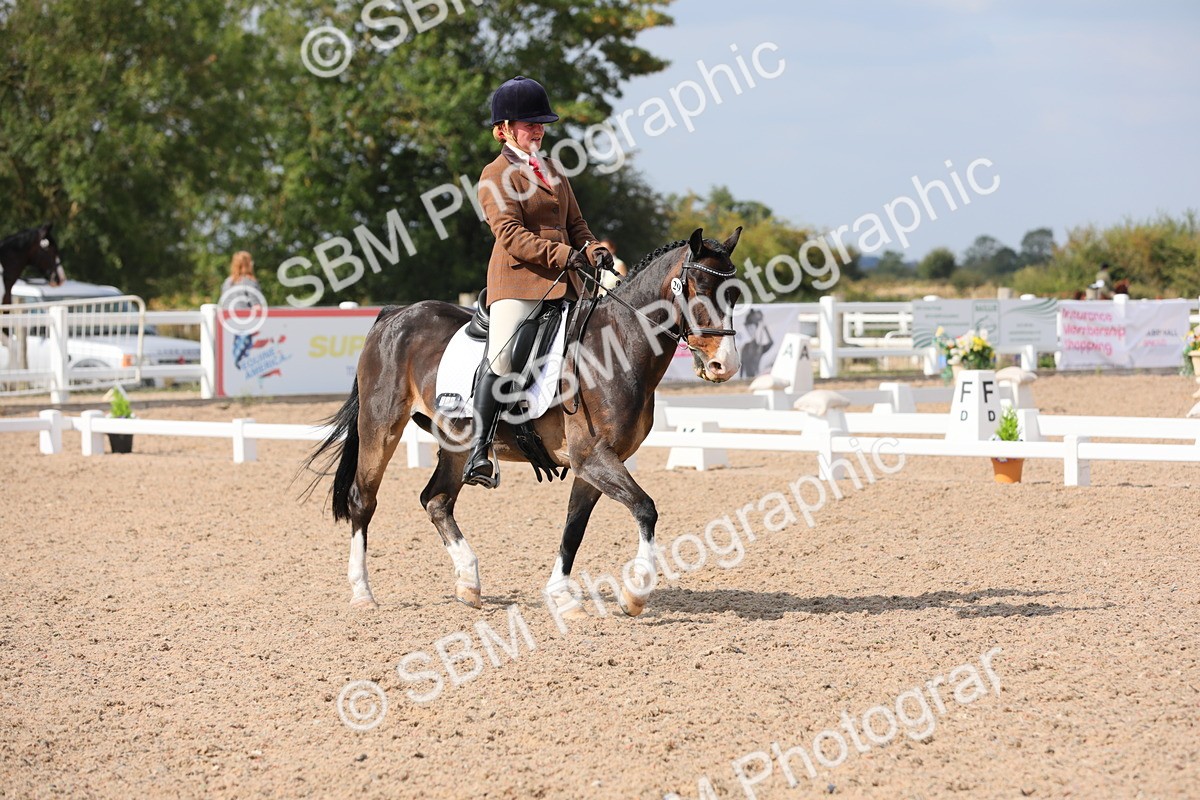 SBM_07539 - Class 33 Elementary 1