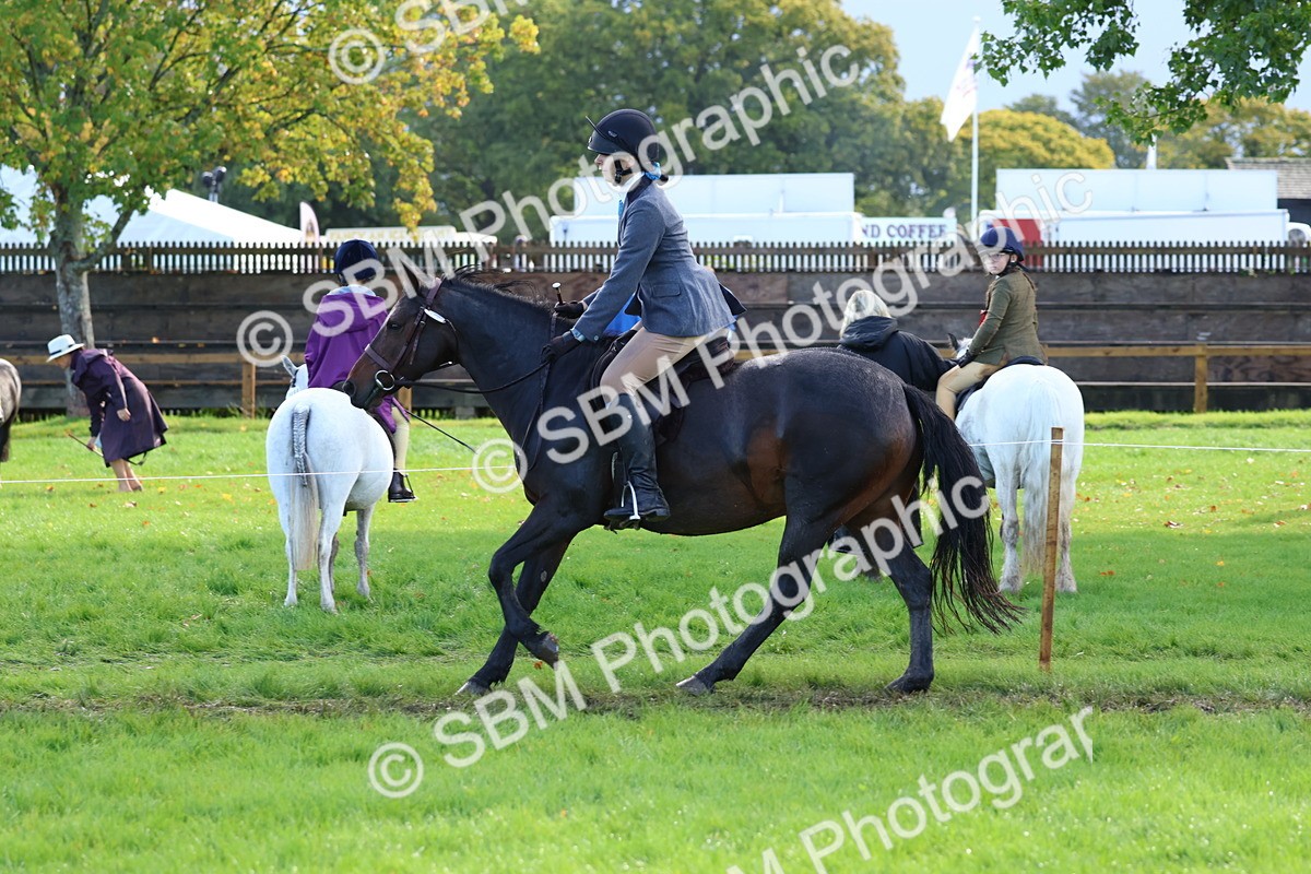 SBM_36905 - S11 - Best Ridden Horse & Pony