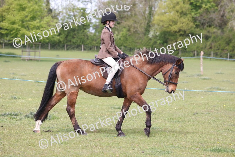 20260426-2902 - Class 33 - Best Pony 14.2hh and Under