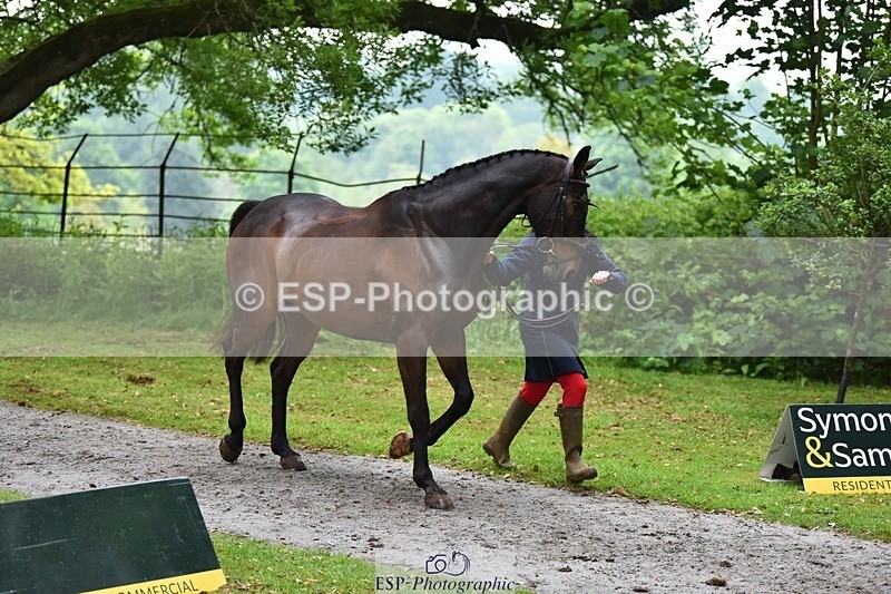 240522-164702-01153 - 220-BALLINAMURRA_FLARE_STAR-Mary_Mason