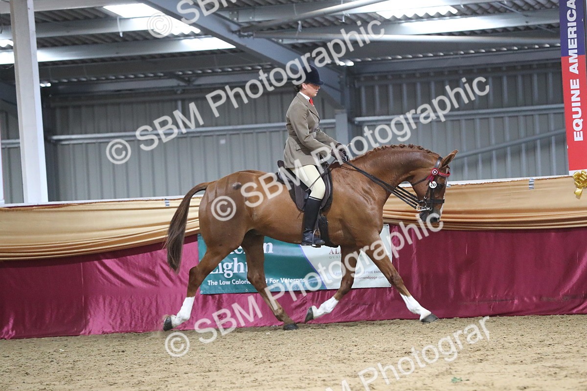 SBM_08437 - Class 11R Regional Ridden Veteran