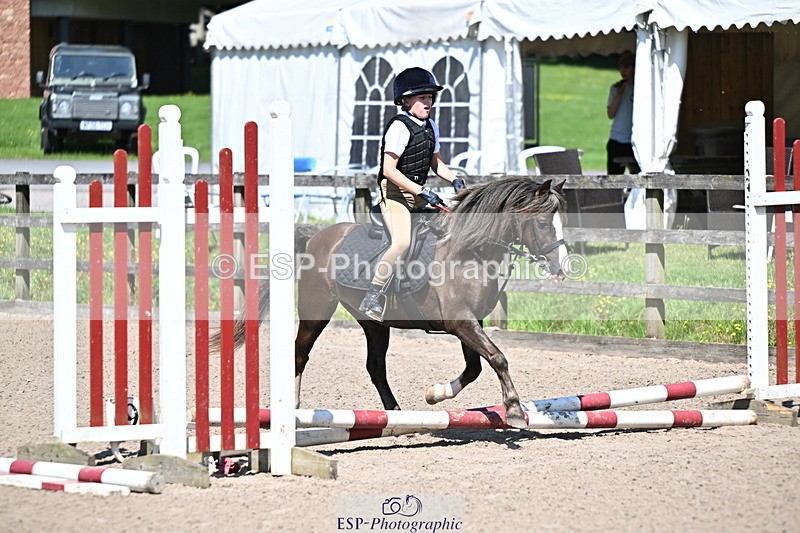 240729B-113655-02453 - Showjumping Competition