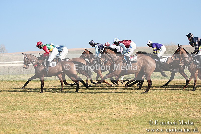 PtP 230219 72 - Vine & Craven Point-To-Point - Barbury 23/02/19