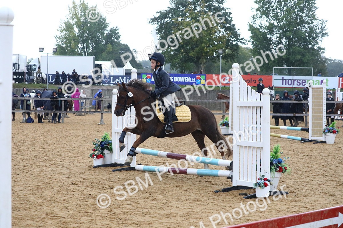 SBM_71499 - J4 - Mini Tour Junior Pony 45cm Championship