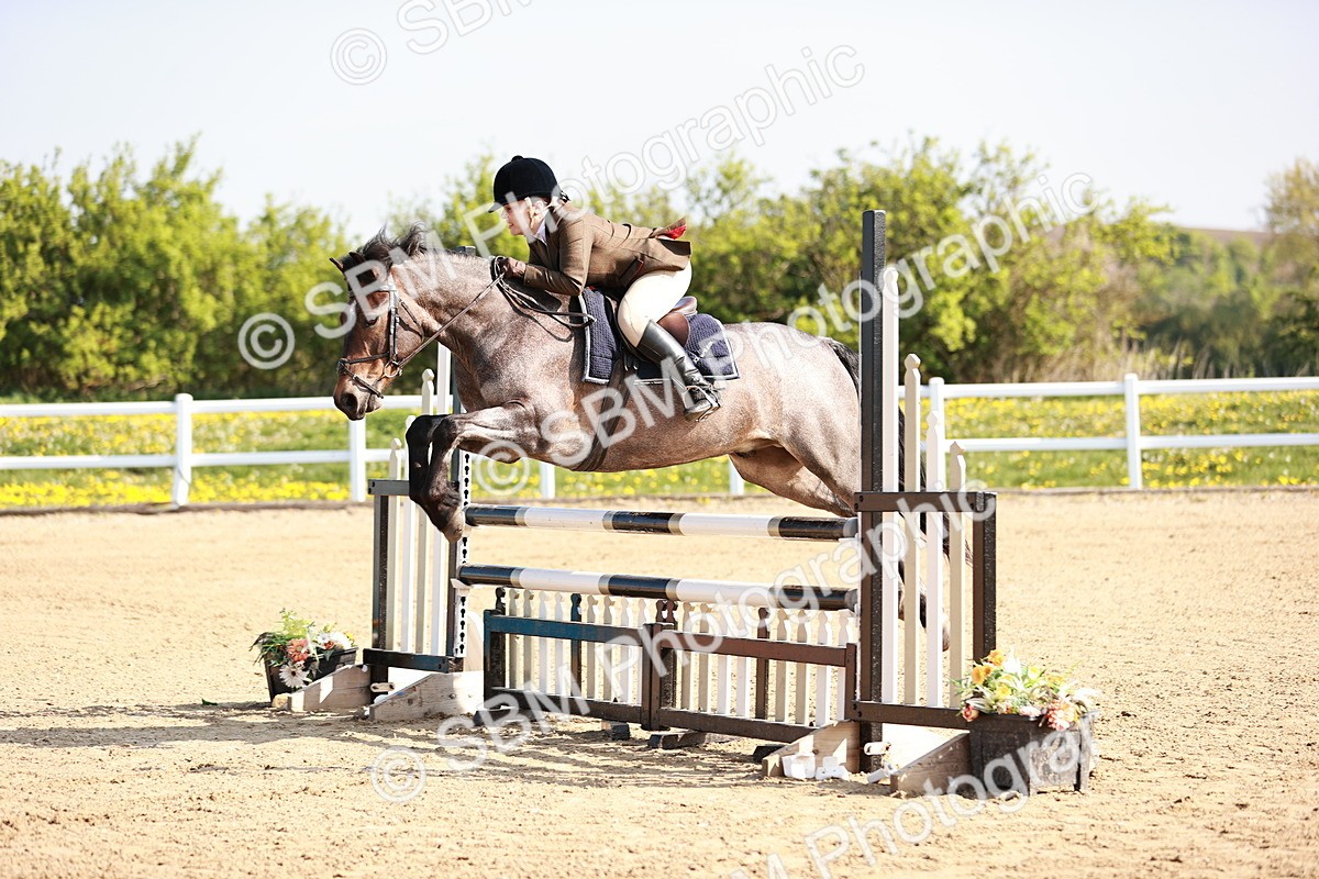  - Class 21 - Senior British Novice - 90cm