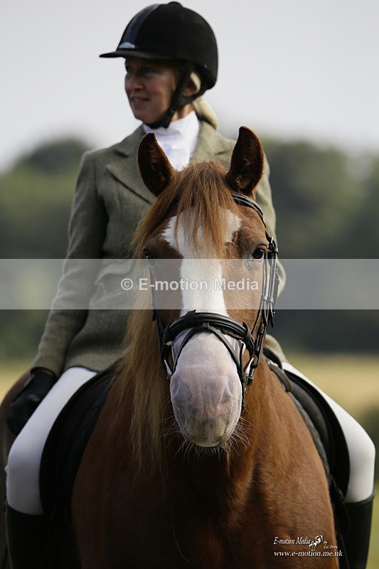 BVRC 120921 12 - Bourne Valley Riding Club UA Dressage & Show Jumping 12/09/21