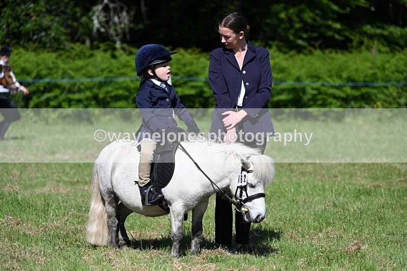 WJ7_0630 - Class 8 First Rally Pony