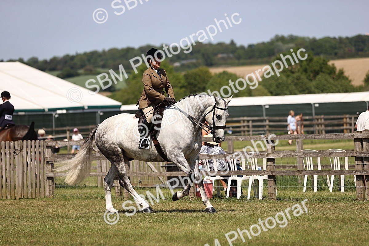 SBM_17716 - Class 81-83 - TSR Ridden Amateur of the Year - Horses