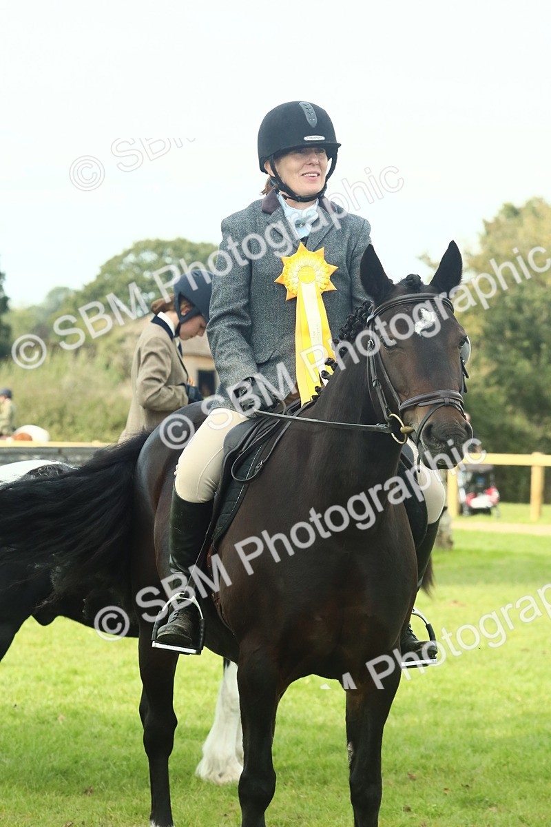 SBM_66789 - S34 - Rehabilitated Rescue Horse & Pony In Hand & Ridden