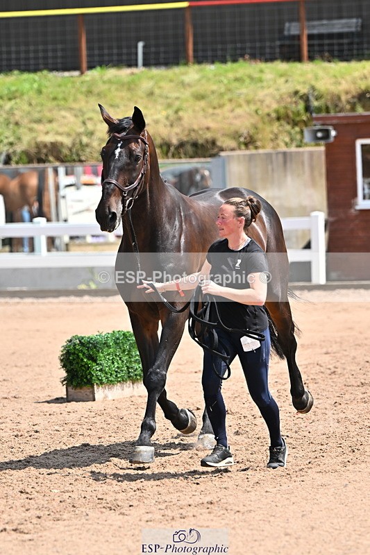 240718A-105300-01435 - Trot Up 12pm to 1pm