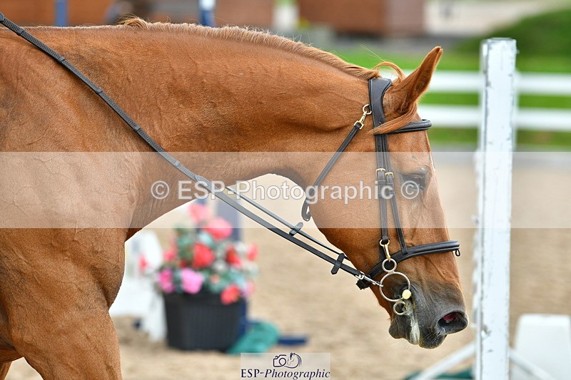 230812A-164356-10547 - Cls 30 A&B 1.10m Nat Am Qual & 1.10m Open
