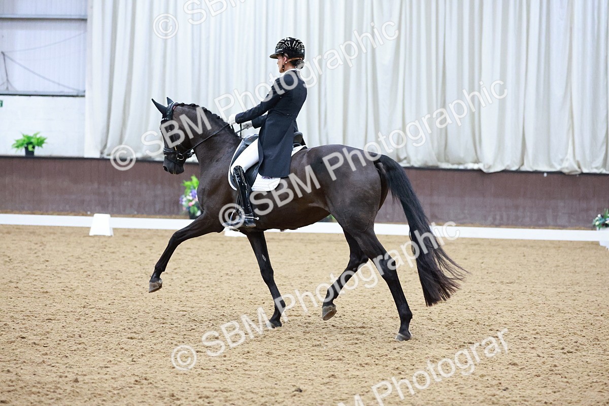 SBM_021219 - Class 14 - FEI Grand Prix - 17.40-18.34