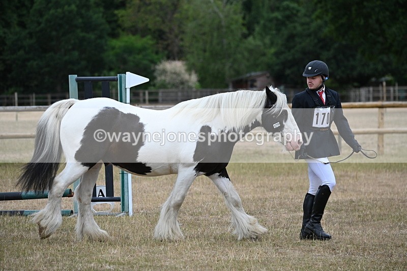 WJ6_7810 - Class 10 Coloured in Hand