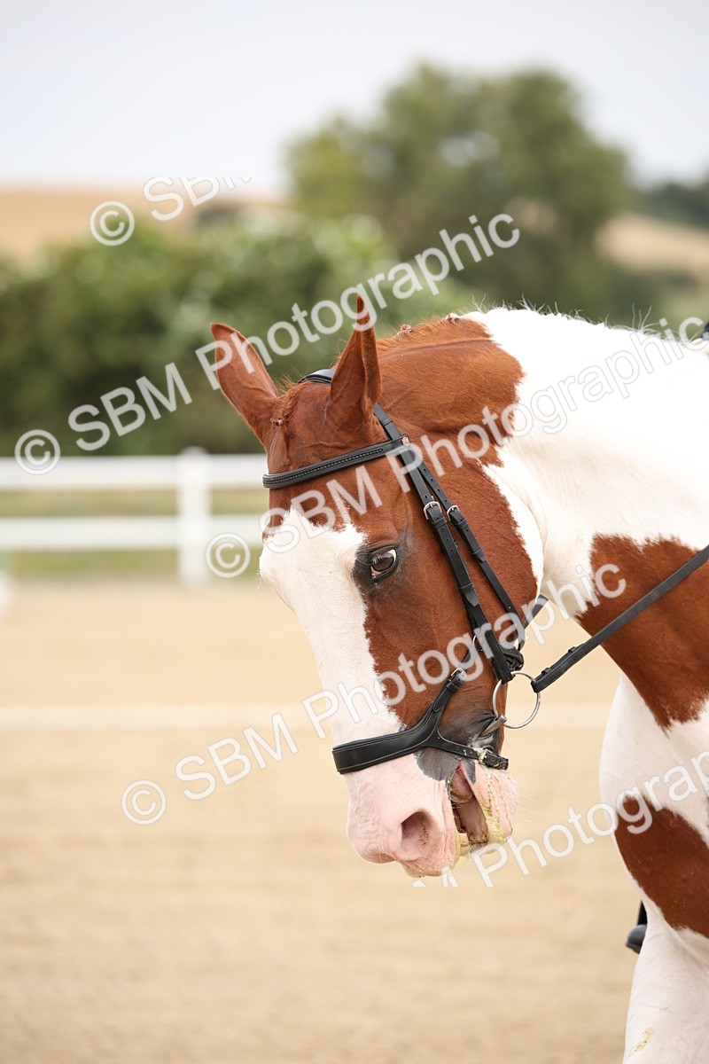 SBM_020045 - Class 25 - PSG Bronze