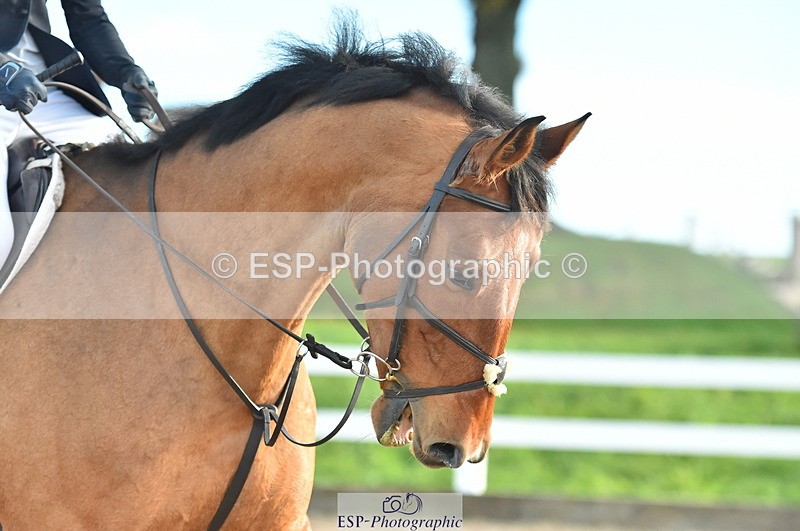 231111A-103810-01554 - Cls 10 Discovery & 1m Open