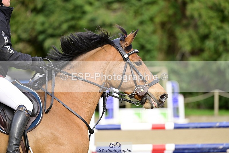 260214A-152220-01226 - 5 Newcomers and 1m 10 Open