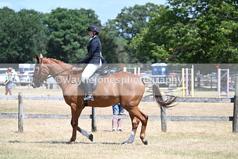 WJ7_2777 - Class 7 Riding Club Show Horse