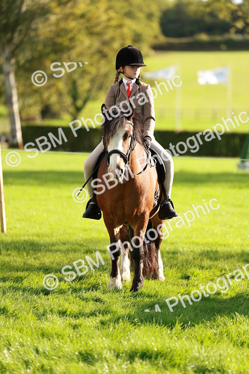 SBM_28675 - S7 - Novice & Newcomer Ridden Pony