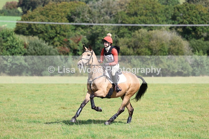 3E7A6655 - Class 1: Trebudannon Open: Pheasant Feeder
