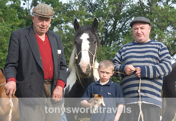 33, At the Fair, Spancil Hill Horse fair, Co.Clare - Horse Fairs, Ireland