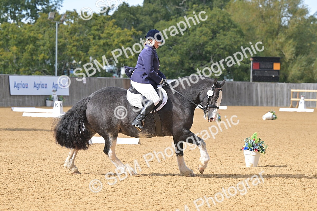 SBM_09286 - D8 - Small Tour Championship Prelim 1