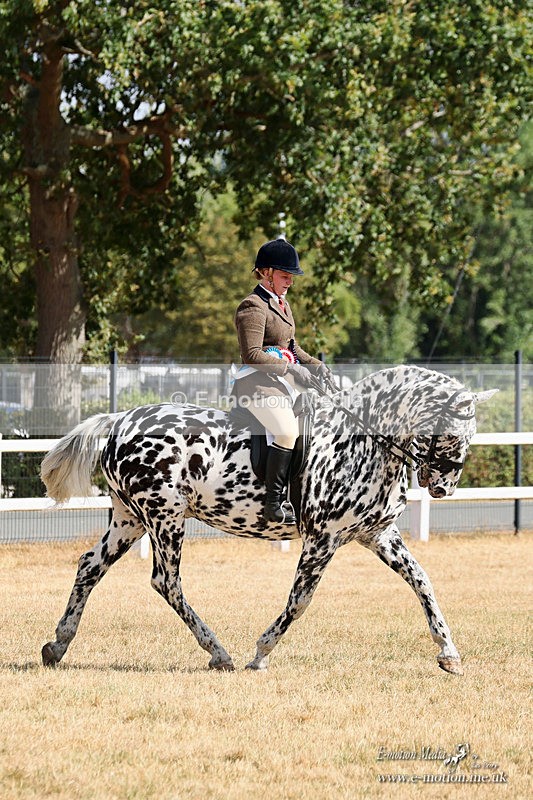 MNPS 060826 8122a - Equestrian