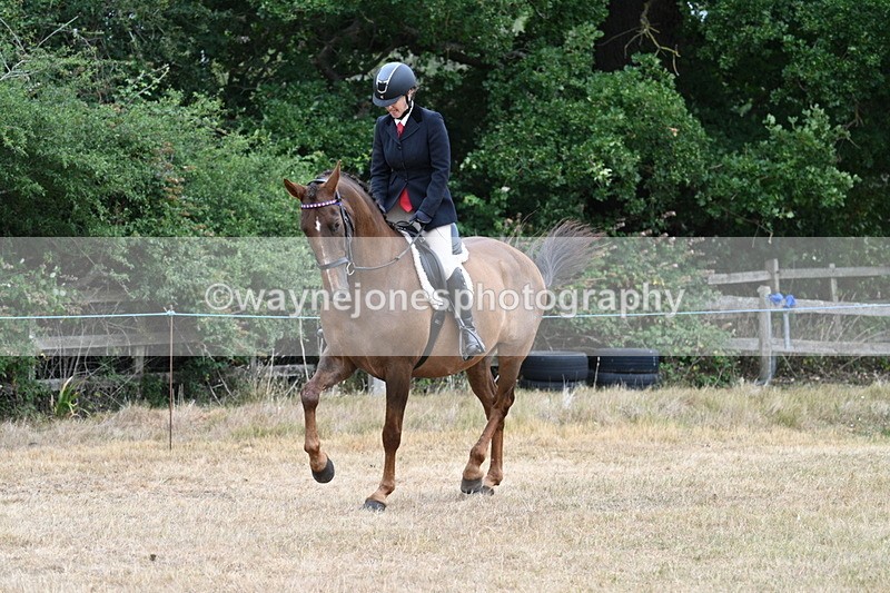 WJ7_0830 - Class 7 Riding Club Show Horse