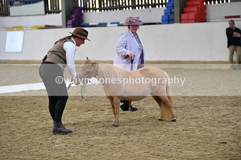 WJ5_3874 - Class 5 In Hand Veterans