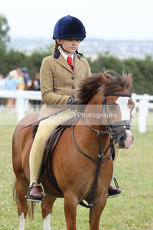 JPP_1915 - Class 18: Tiny Tots Working Hunter Pony