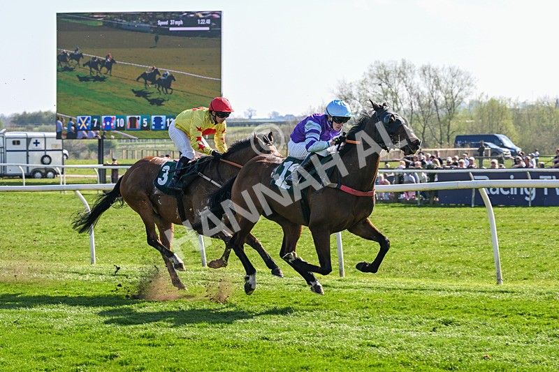 080426-Race 4-Evocative Spark-0360 - Race 4