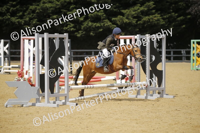 20250622-3984 - 50cm