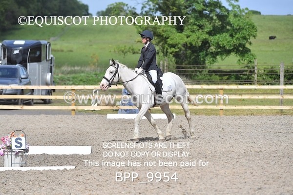 BPP_9954 - SHORT ARENA  MY QUEST PRELIM