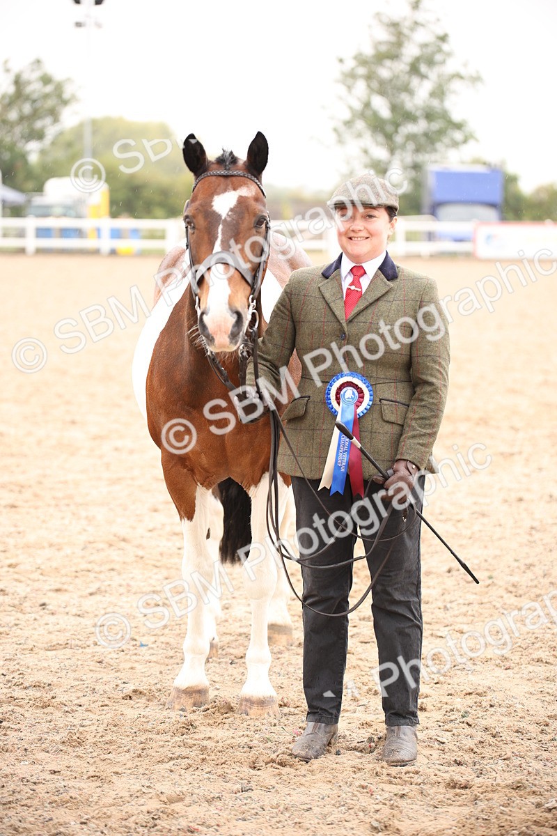 SBM_20224 - Class 703 - IH  Coloured