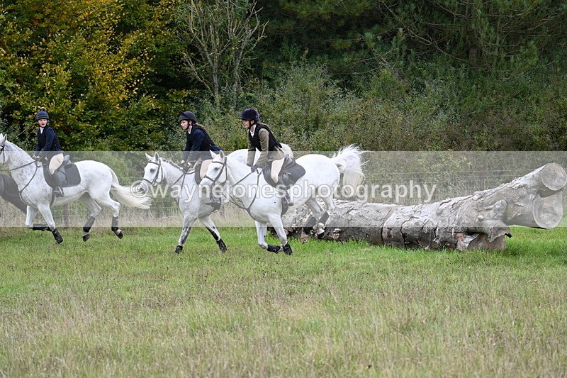 WJ7_3830 - Camera 1 Line 1