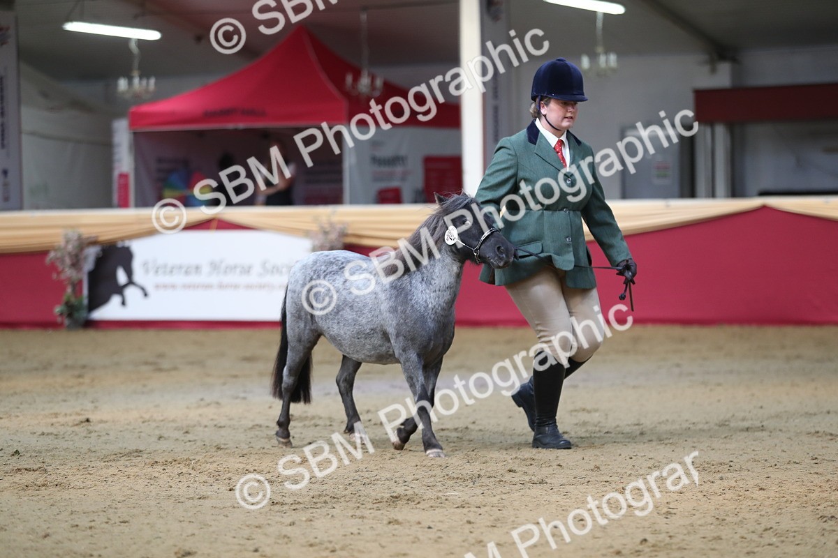 SBM_01346 - Class 3a Area IH Pre Vet