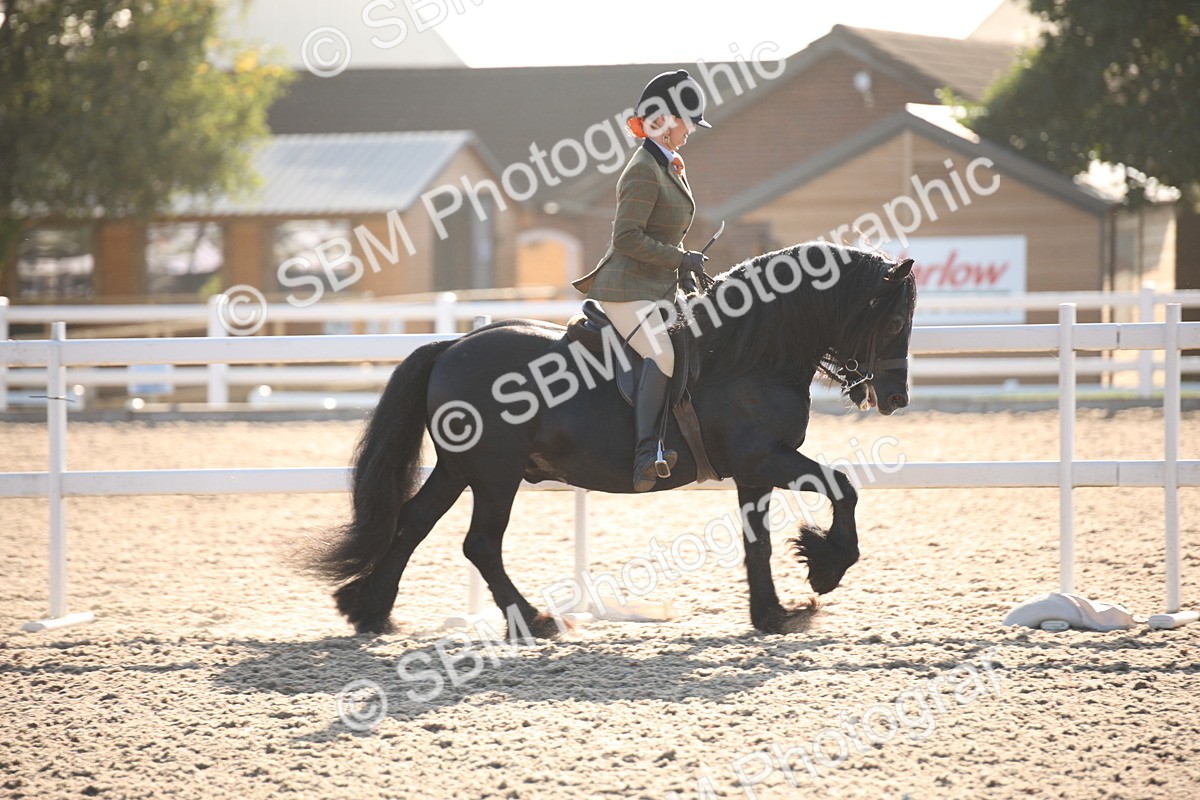 SBM_00630 - Class 14 Ridden M&M Wildcard