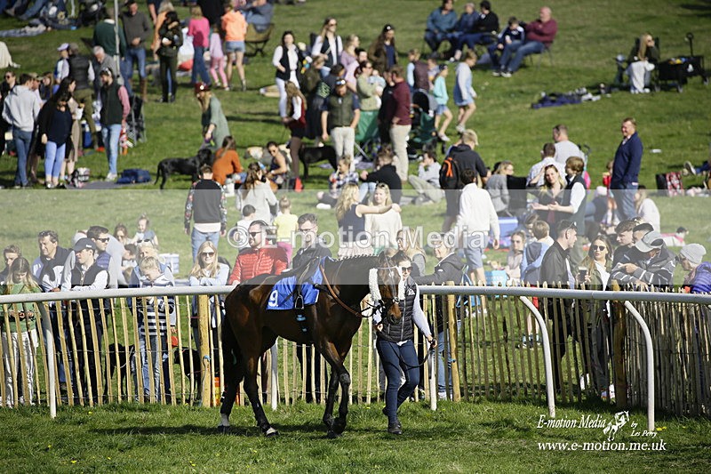 PtP 180422 303 - Old Berkshire PtP Lockinge 18/04/22