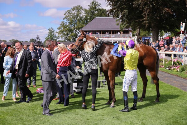 yr17082022r1-055 - Race 1 1.50pm Sky Bet & Symphony Group Stakes